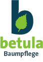 Logo betula